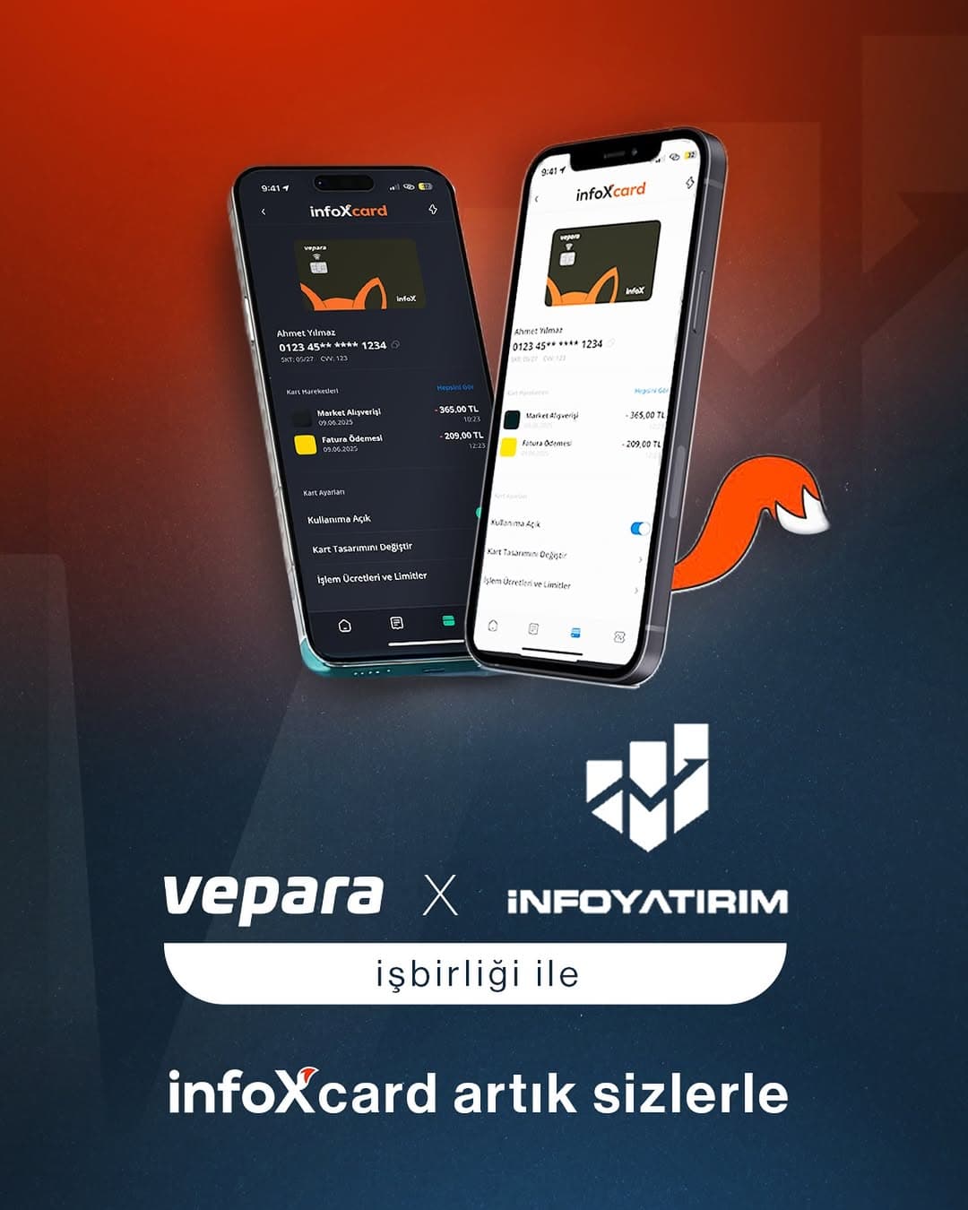 Investment Experience